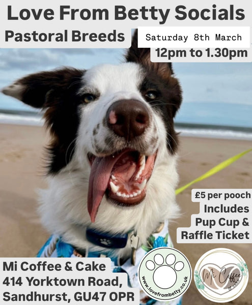 Love From Betty Socials Pastoral Breeds @ Mi Coffee & Cake Sandhurst