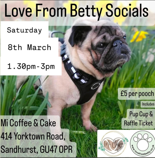 Love From Betty Socials Pugs @ Mi Coffee & Cake Sandhurst