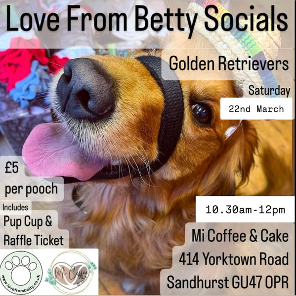 Love From Betty Socials Golden Retrievers @ Mi Coffee & Cake Sandhurst