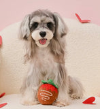 Chocolate Dipped Strawberry Dog Toy By Hugsmart