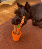 Flower Pot Orange Treat Dispenser Chew Toy By SodaPup