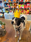 Yellow Felt Handmade Crown By Urban Tails