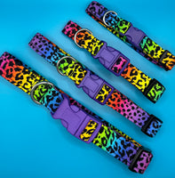 Neon Animal Print Dog Collar Handmade By Urban Tails