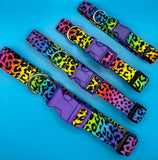 Neon Animal Print Dog Collar Handmade By Urban Tails