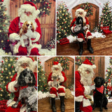 Santa Paws Festive Christmas Party Sunday 8th Dec @ Mi Coffee & Cake