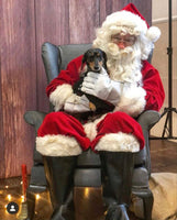 Santa Paws Festive Christmas Party Sunday 8th Dec @ Mi Coffee & Cake