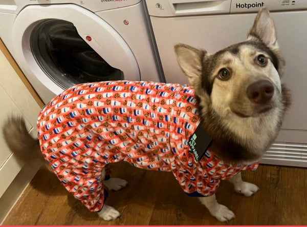 Waffle dog 2024 pyjamas sainsbury's