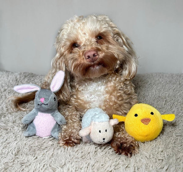 Miniz Three Pack Easter Friends  By Zippy Paws