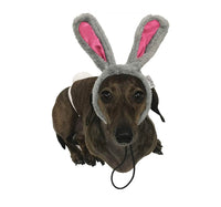 Easter Bunny Ears & Tail Dog Costume By Midlee