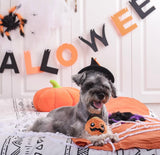 Howloween Night Pumpkin Ball Toy By Hugsmart