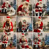 Santa Paws Festive Christmas Party Sunday 8th Dec @ Mi Coffee & Cake