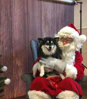 Santa Paws Festive Christmas Party Sunday 8th Dec @ Mi Coffee & Cake