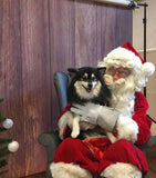 Santa Paws Festive Christmas Party Sunday 8th Dec @ Mi Coffee & Cake