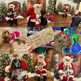 Santa Paws Festive Christmas Party Sunday 8th Dec @ Mi Coffee & Cake