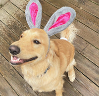 Easter Bunny Ears & Tail Dog Costume By Midlee