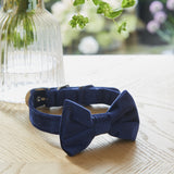 Navy Blue Velvet Dog Bow Tie By Sweet William